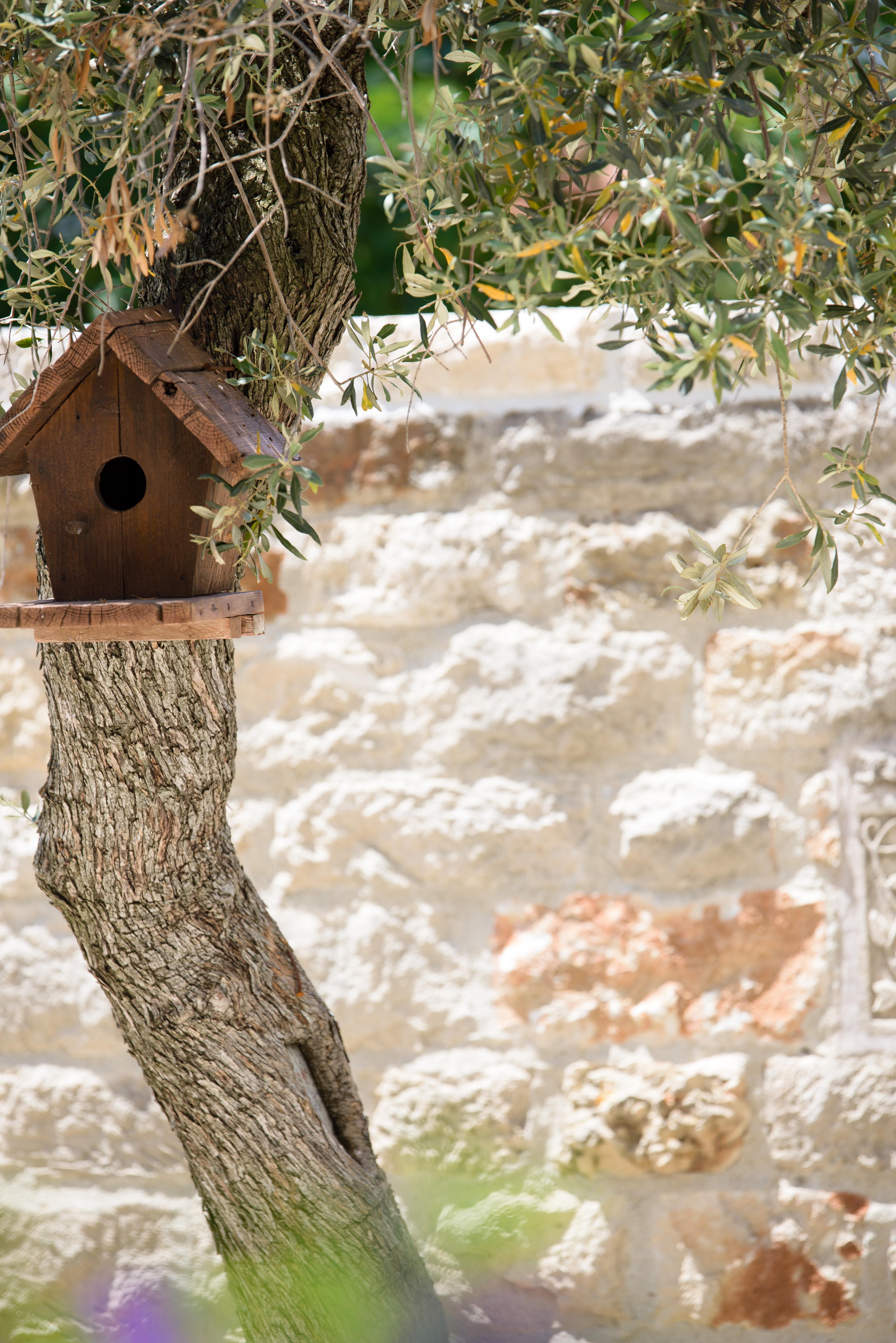 Achtis Hotel Afytos Exterior photo